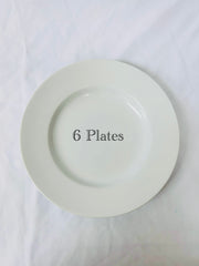 Dinner Plates: Blue Ridged and White (13)