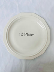 Dinner Plates: Blue Pattern and White (27)
