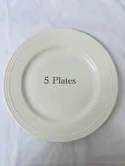 Dinner Plates: Everyday White (22)