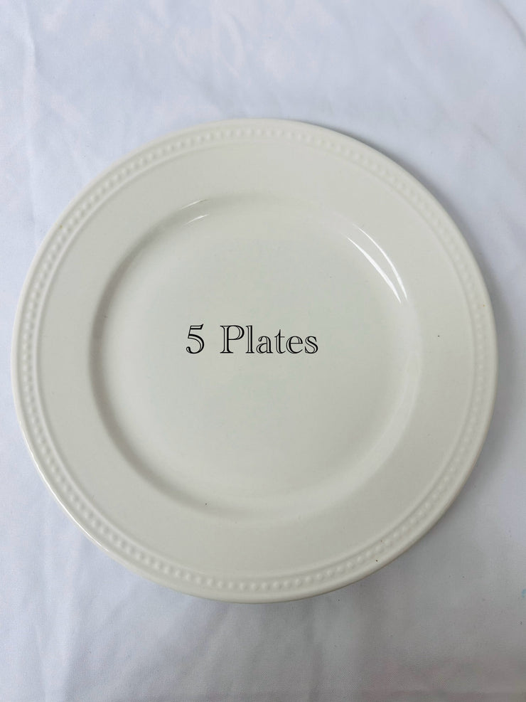 Dinner Plates: Everyday White (22)