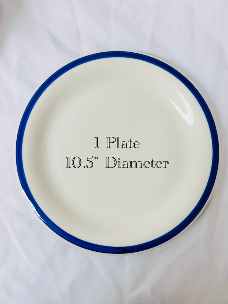 Dinner Plates: Blue Themed Stoneware (20)