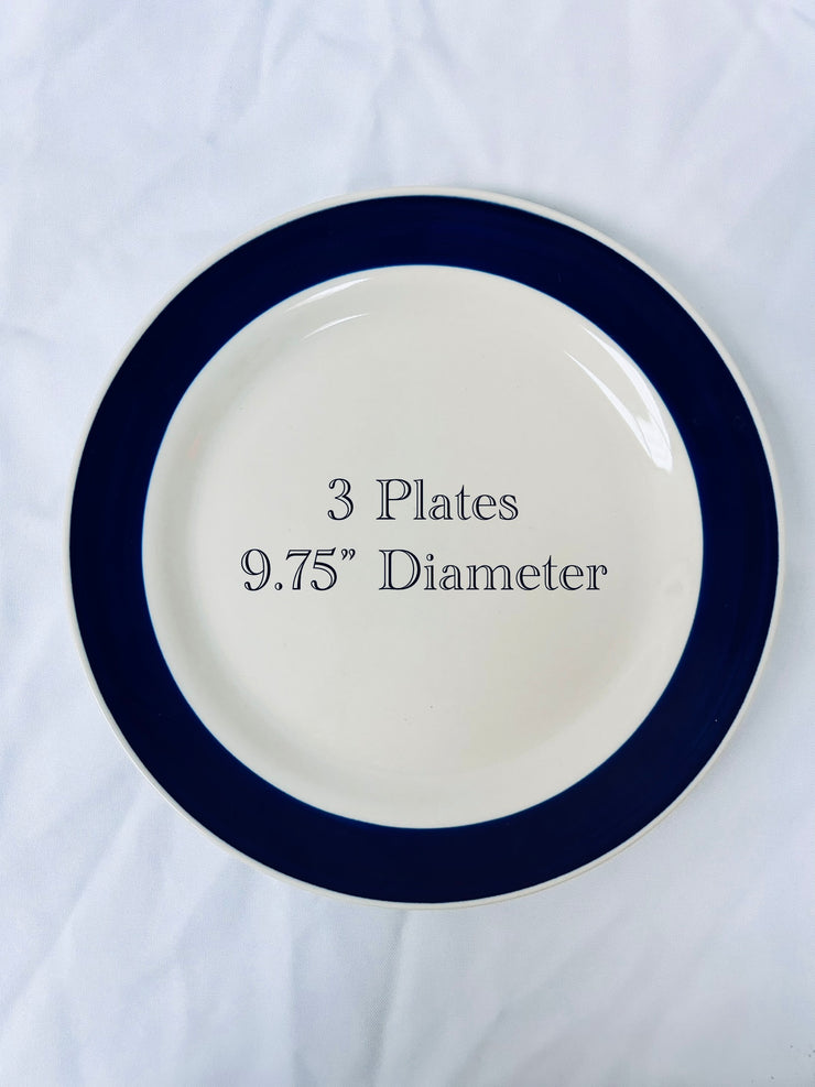 Dinner Plates: Blue Themed Stoneware (20)