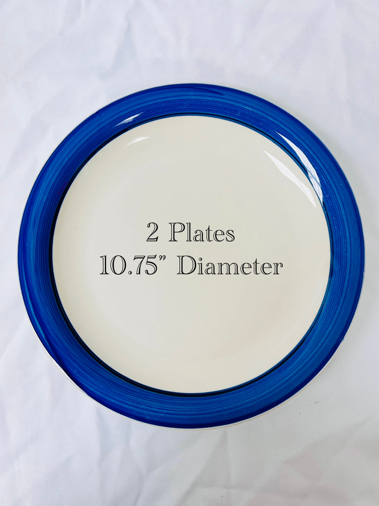Dinner Plates: Blue Themed Stoneware (20)