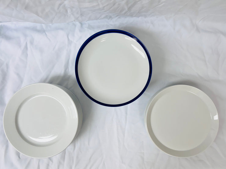 Dinner Plates: Elevated Everyday (24)