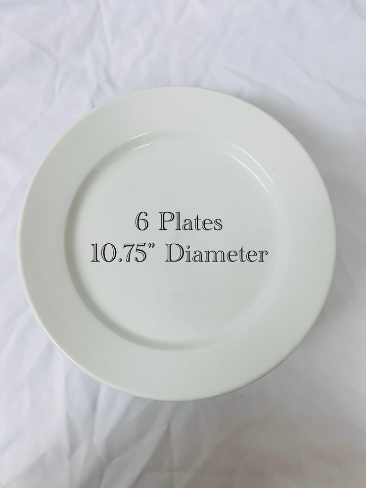 Dinner Plates: Elevated Everyday (24)