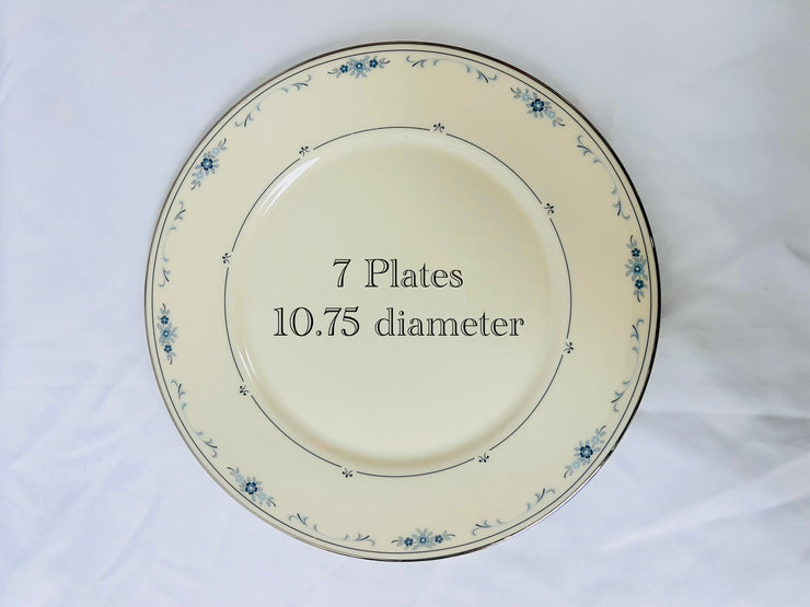 Dinner Plates: Fine China (27)