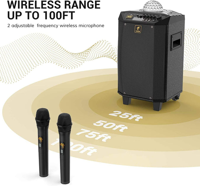 Karaoke Machine Rental in Austin Texas Free Same Day Delivery Rent