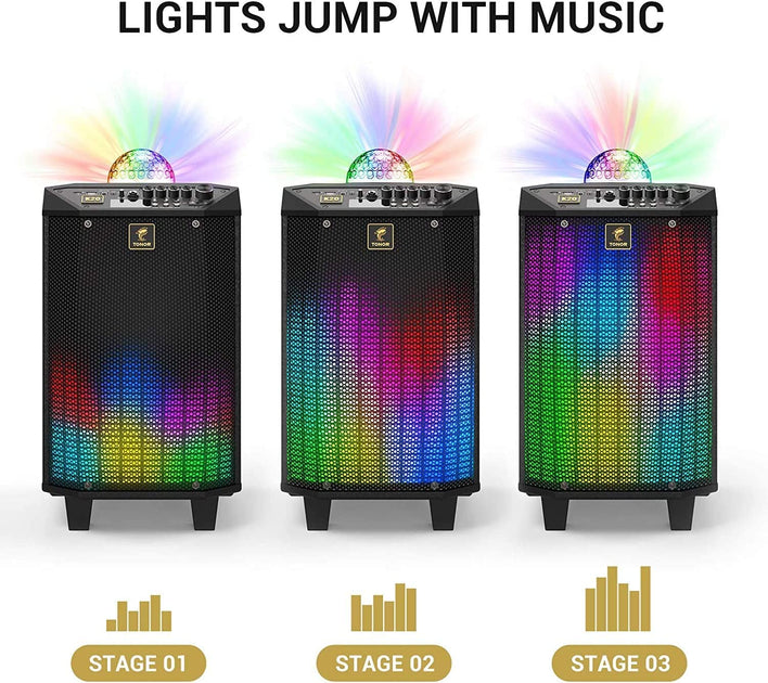 Karaoke Machine Rental in Austin Texas | Free Same Day Delivery – Rent ...